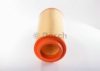 AGCO 055119R1 Air Filter
